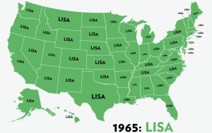 The Lisa Nation