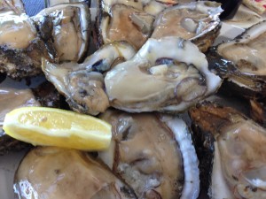 Enjoy some local oysters at your favorite Coast restaurant. FILE PHOTO Lisa Monti