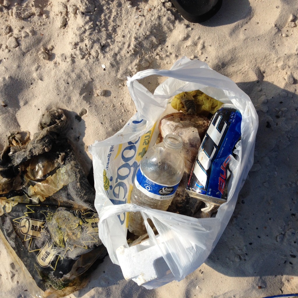 Trash I picked up from the water between Ramaneda and Washington Street. Beer cans, plastic bags, water bottles.