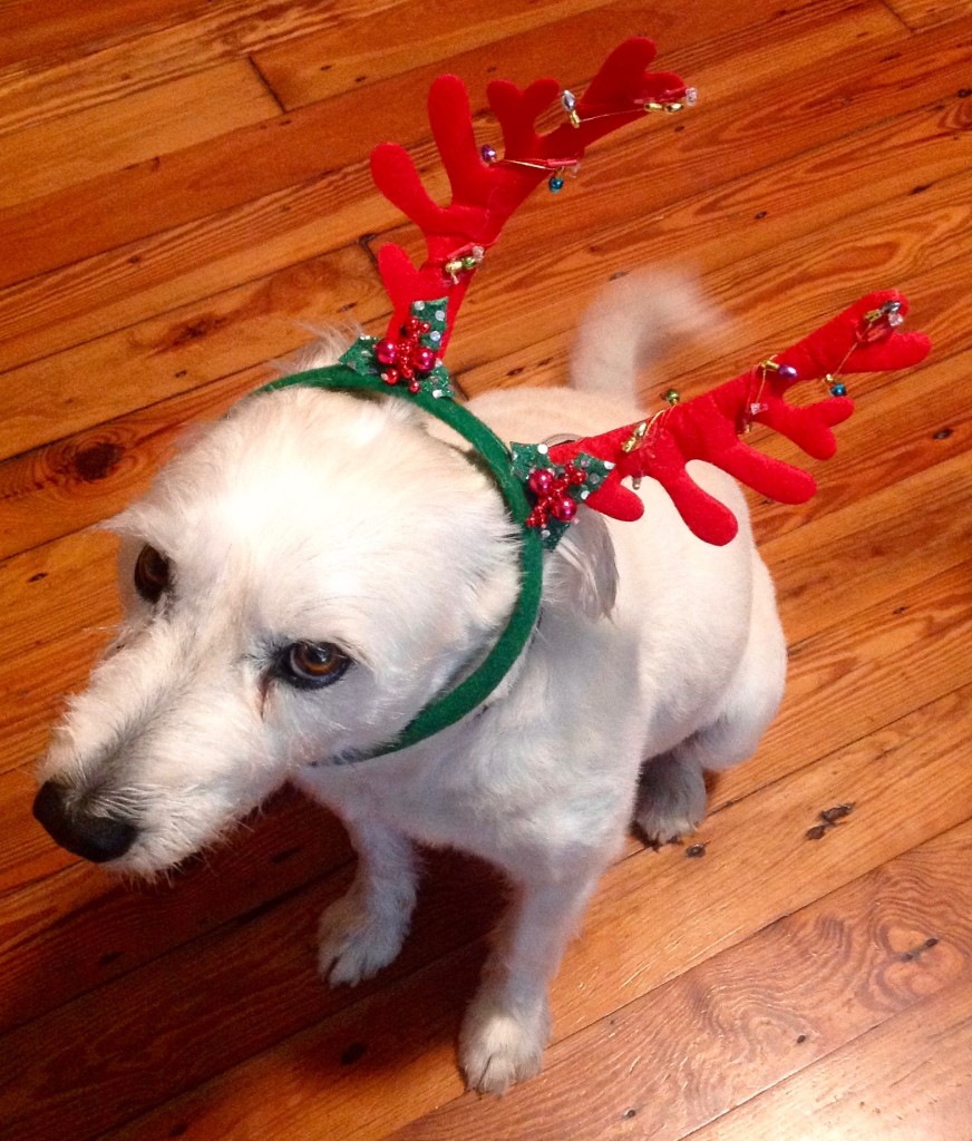 Boudreaux the Reluctant Reindeer